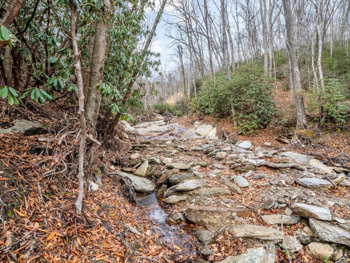 Black Mountain 15 4325345o