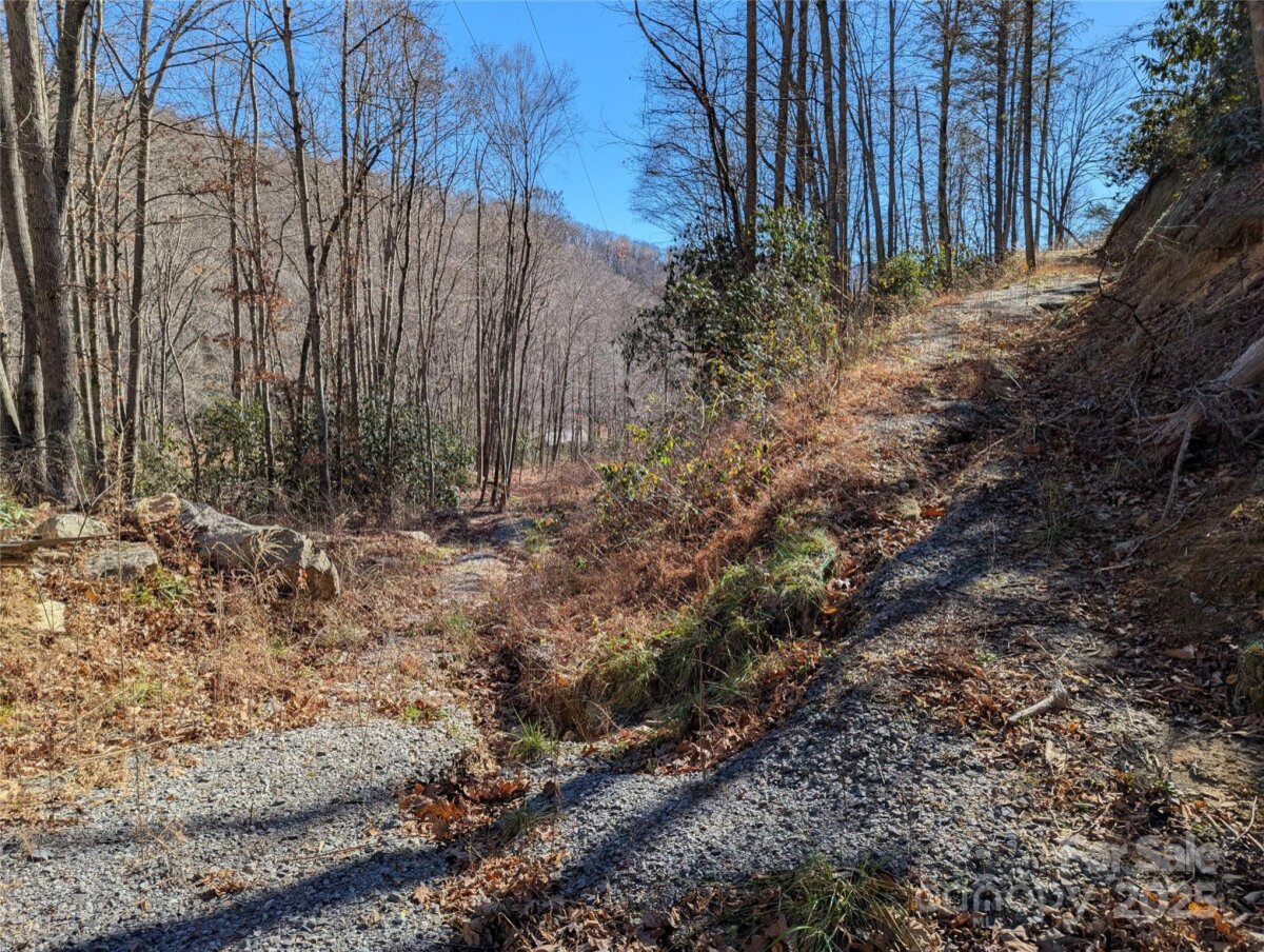 Black Mountain 17 4325345q