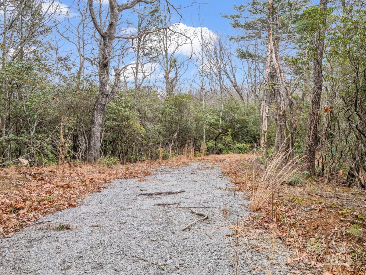 Black Mountain 18 4325345r