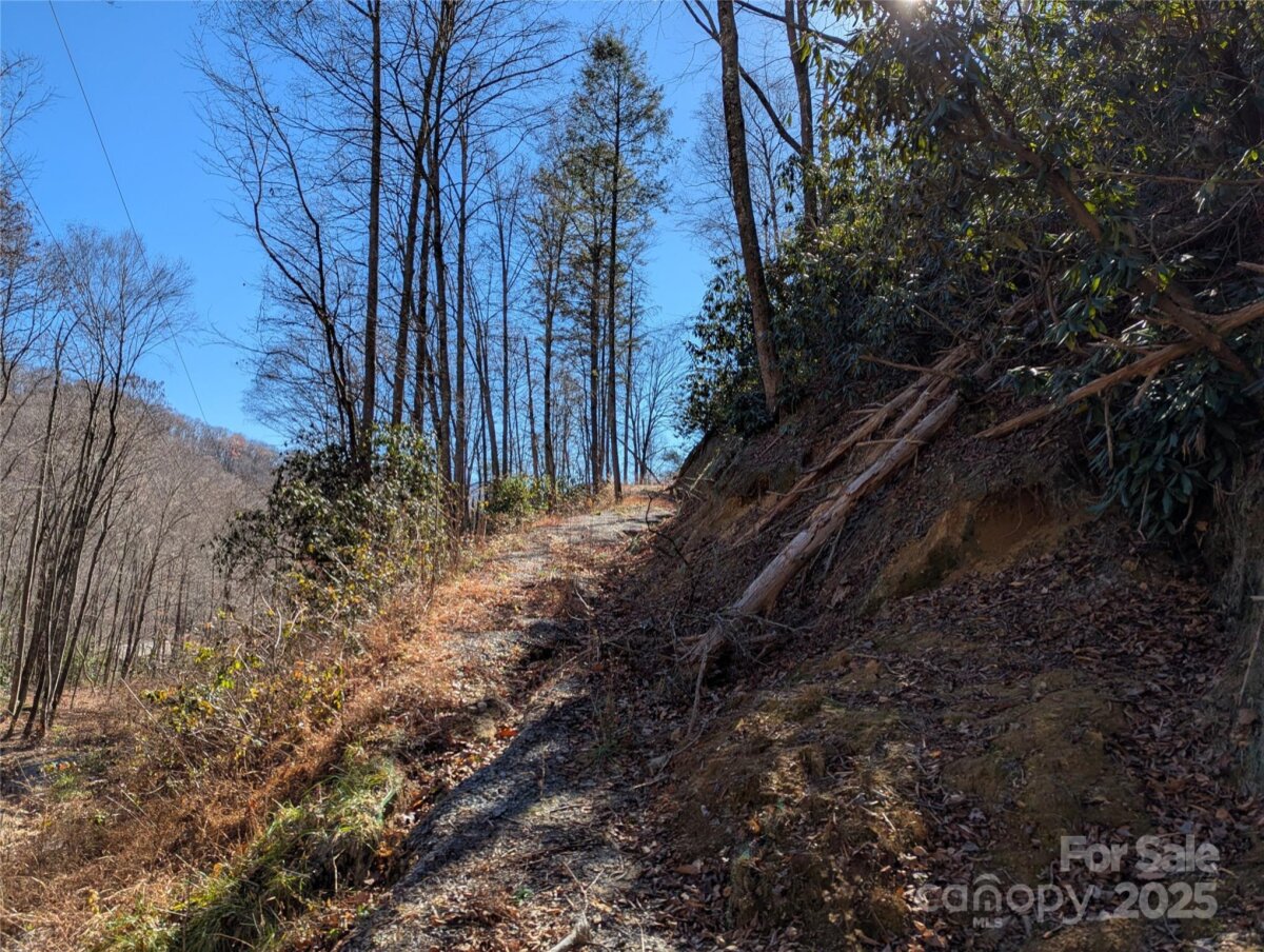 Black Mountain 19 4325345s