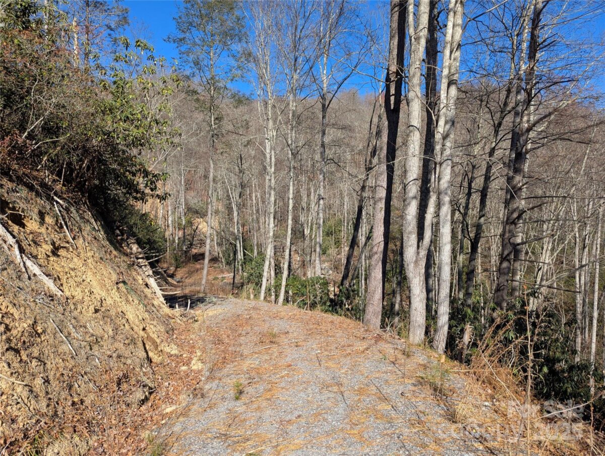 Black Mountain 20 4325345t