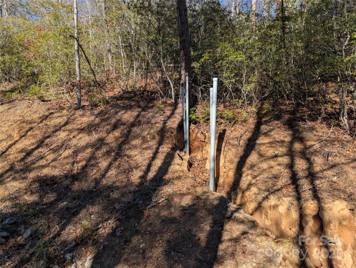 Black Mountain 21 4325345u