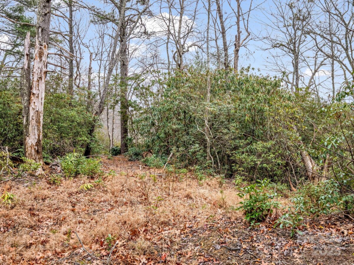 Black Mountain 22 4325345v