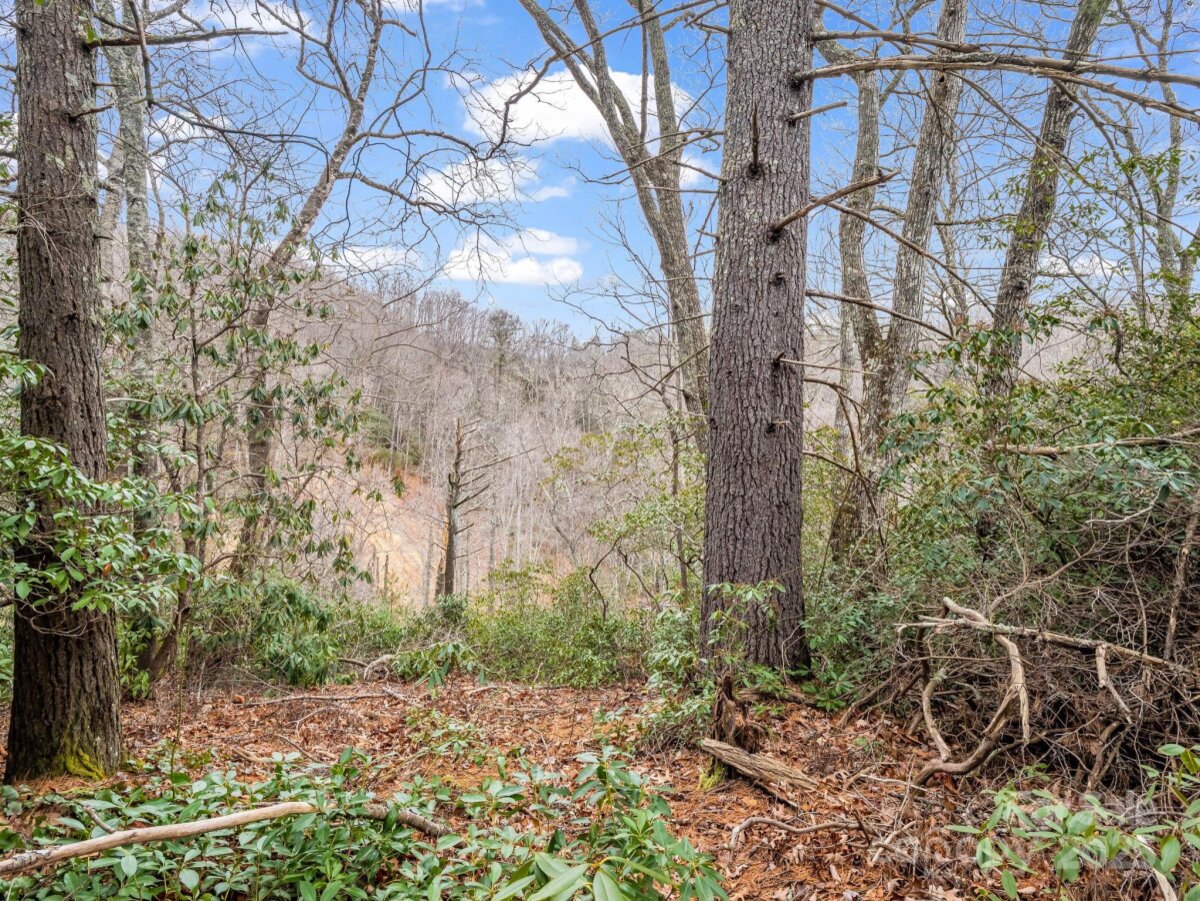 Black Mountain 23 4325345w