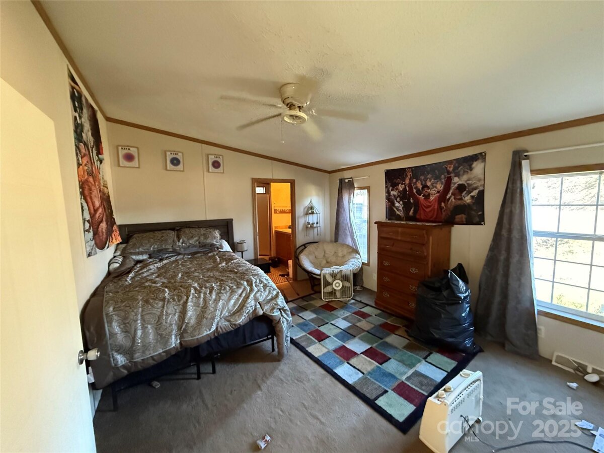 Leicester 6 4327232f