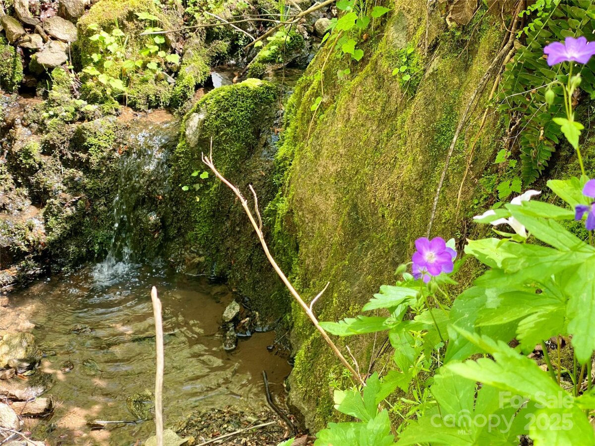 Marshall 10 4327423j