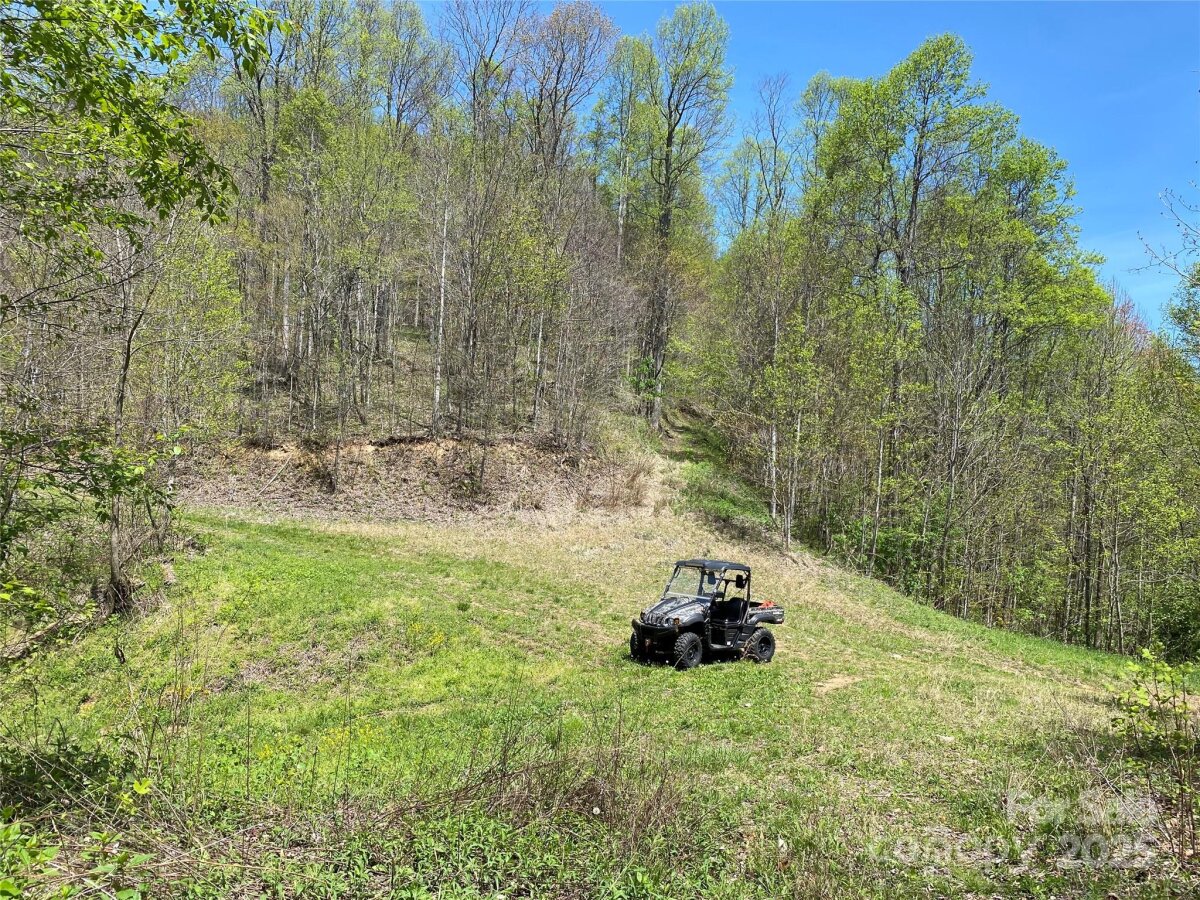 Marshall 14 4327423n