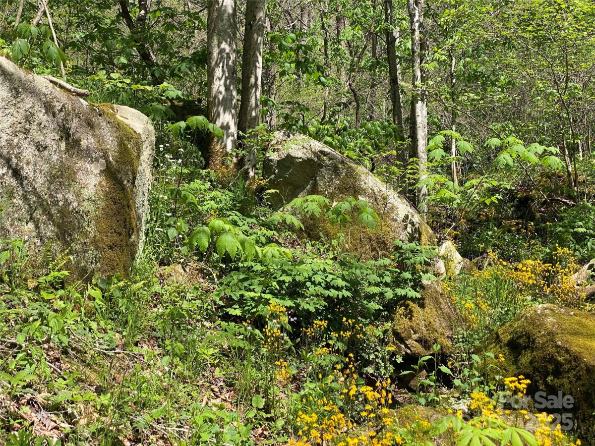 Marshall 16 4327423p