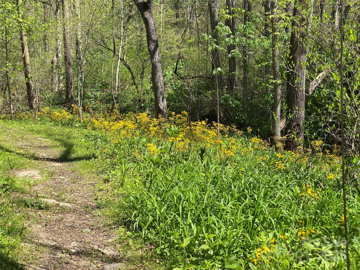 Marshall 17 4327423q