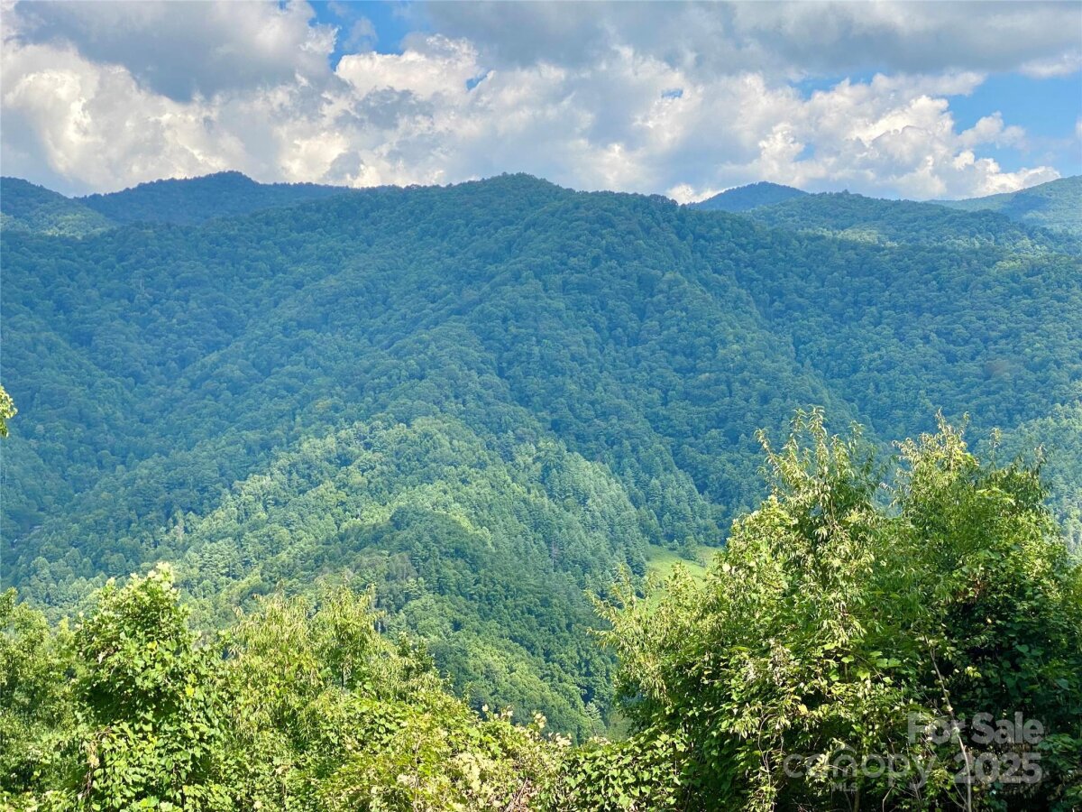 Marshall 18 4327423r