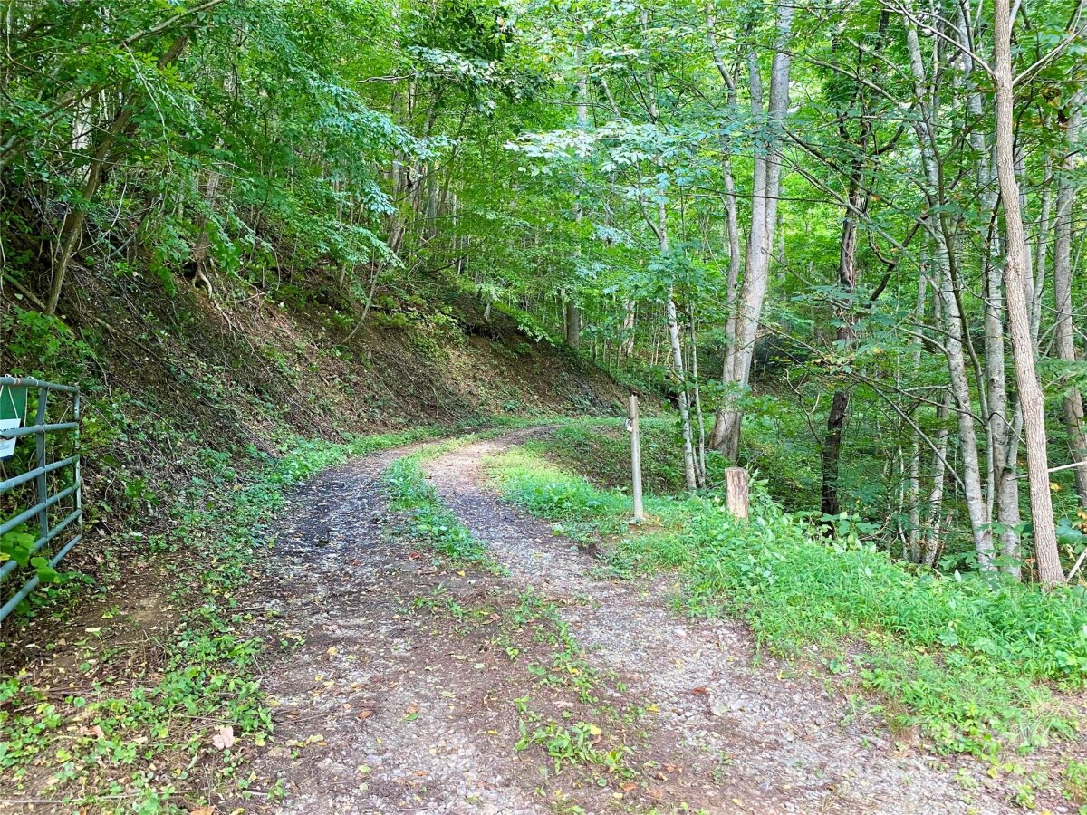 Marshall 19 4327423s