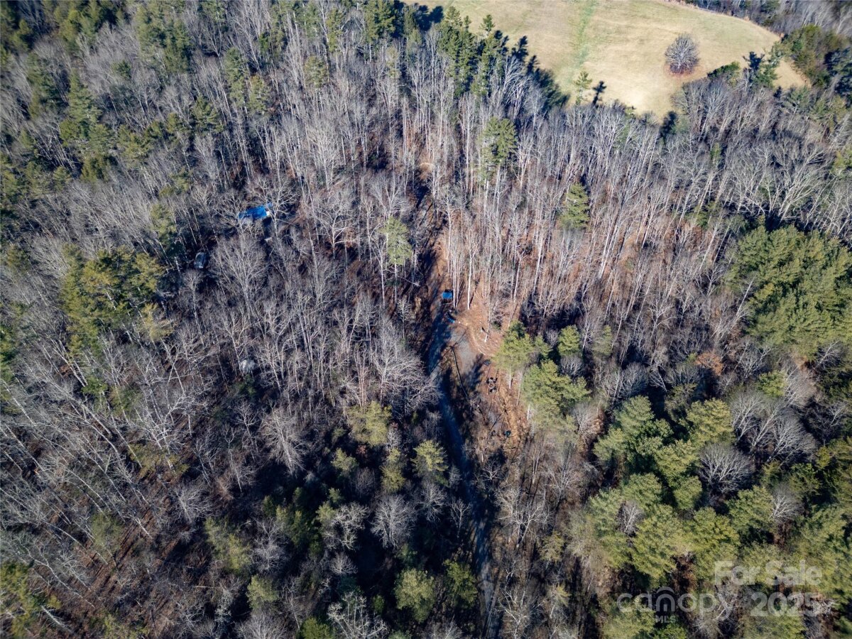 Marshall 16 4329123p