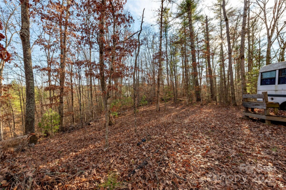 Marshall 20 4329123t