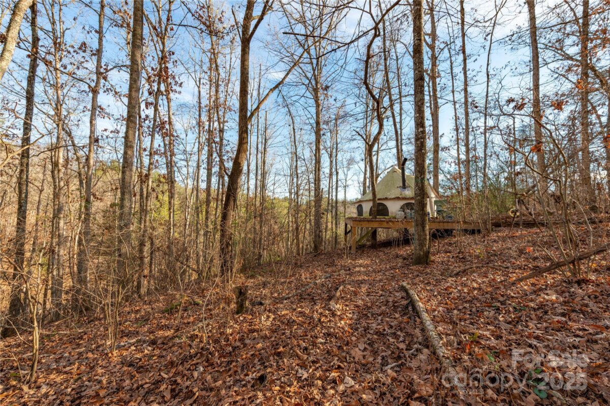 Marshall 21 4329123u