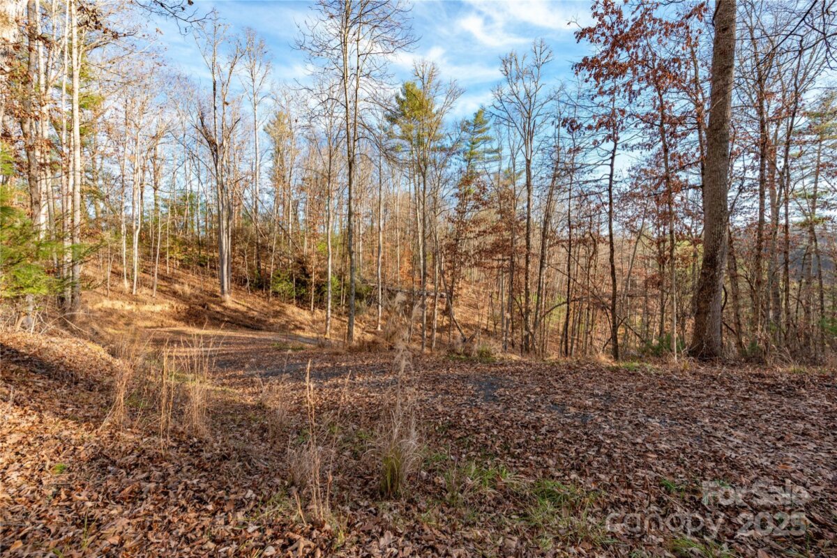 Marshall 23 4329123w