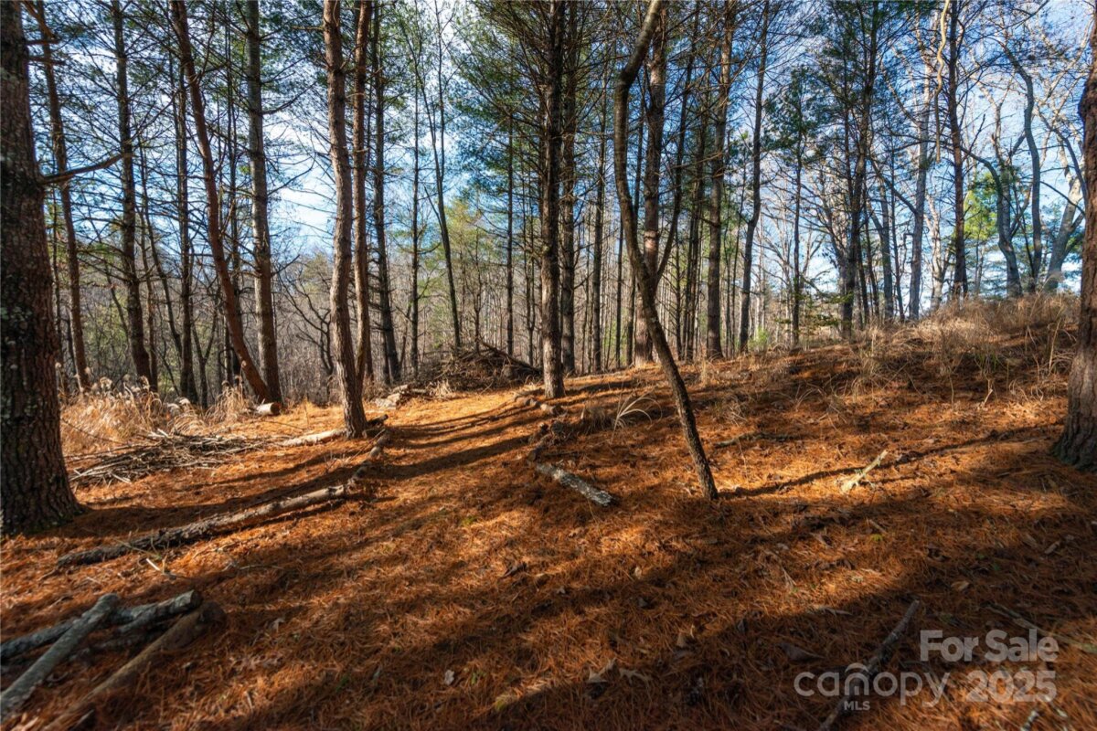 Marshall 25 4329123y