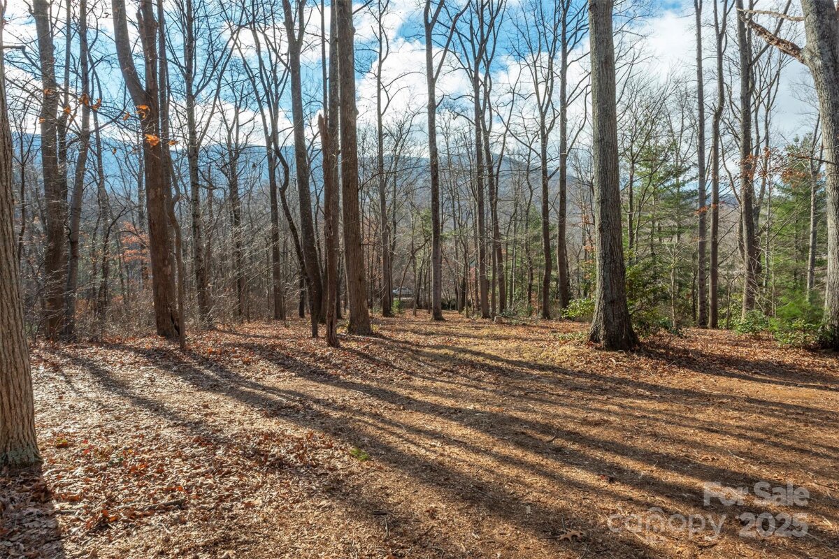 Swannanoa 6 4329370f