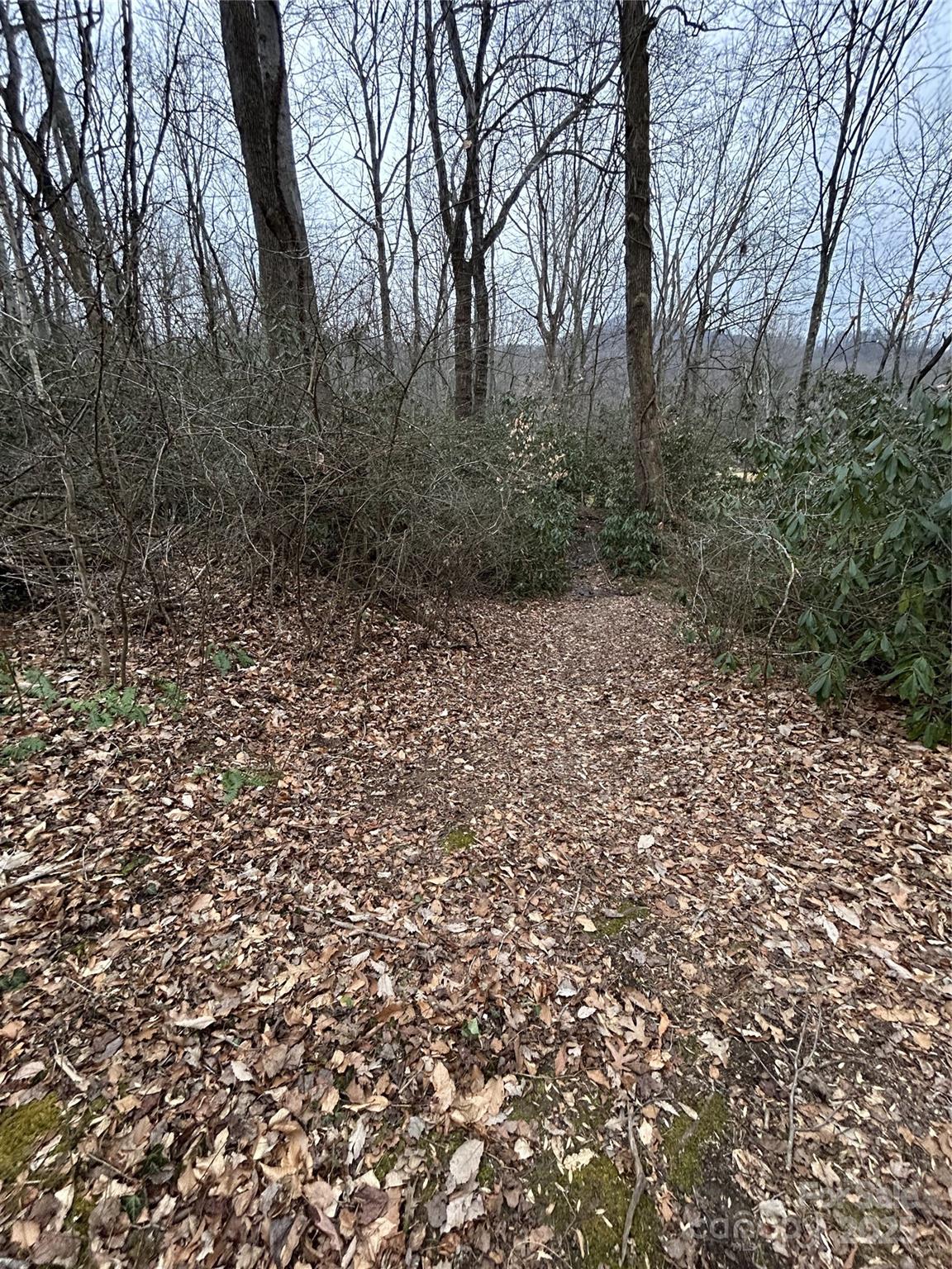 Swannanoa 7 4329977g