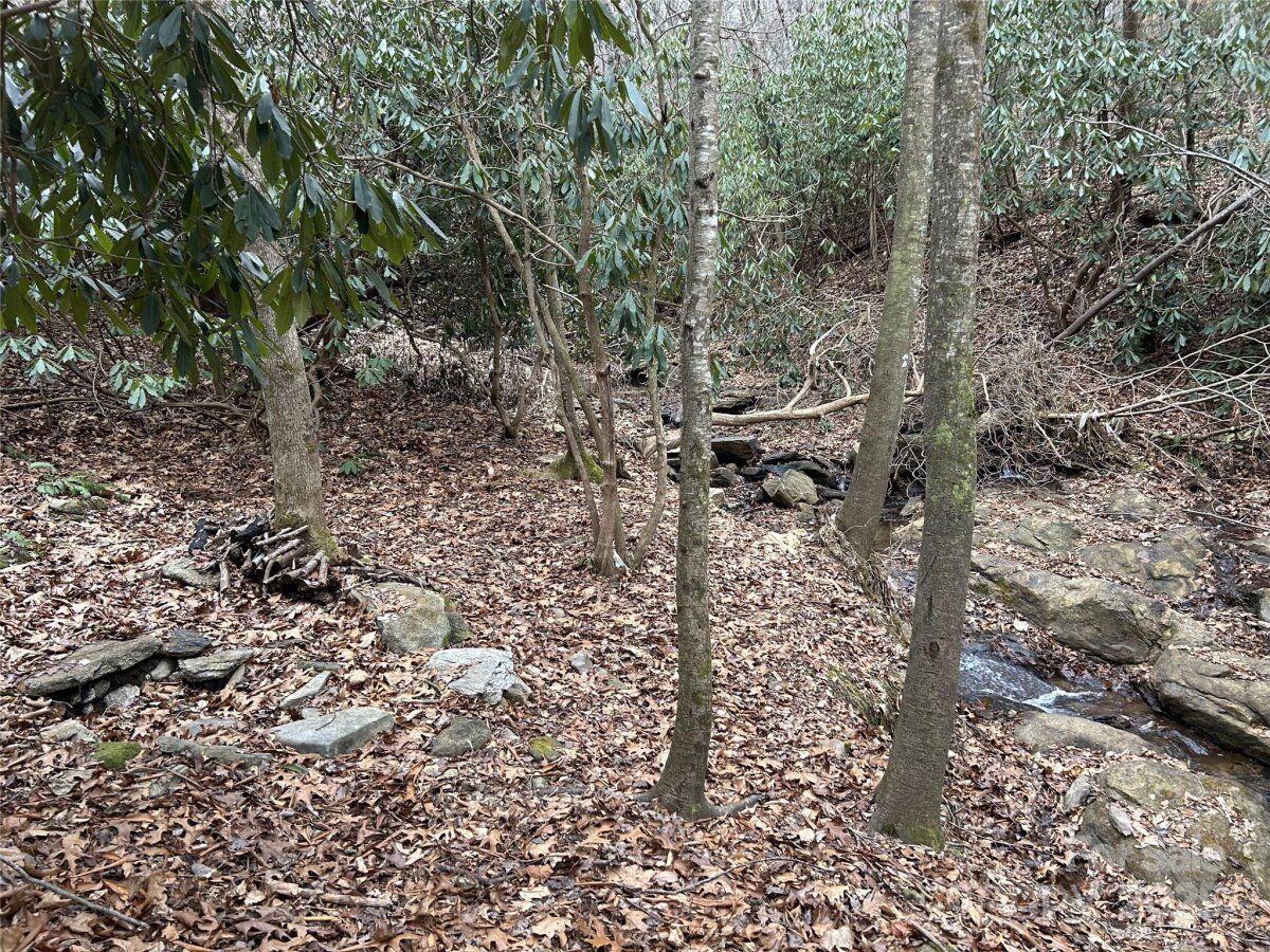 Swannanoa 9 4329977i