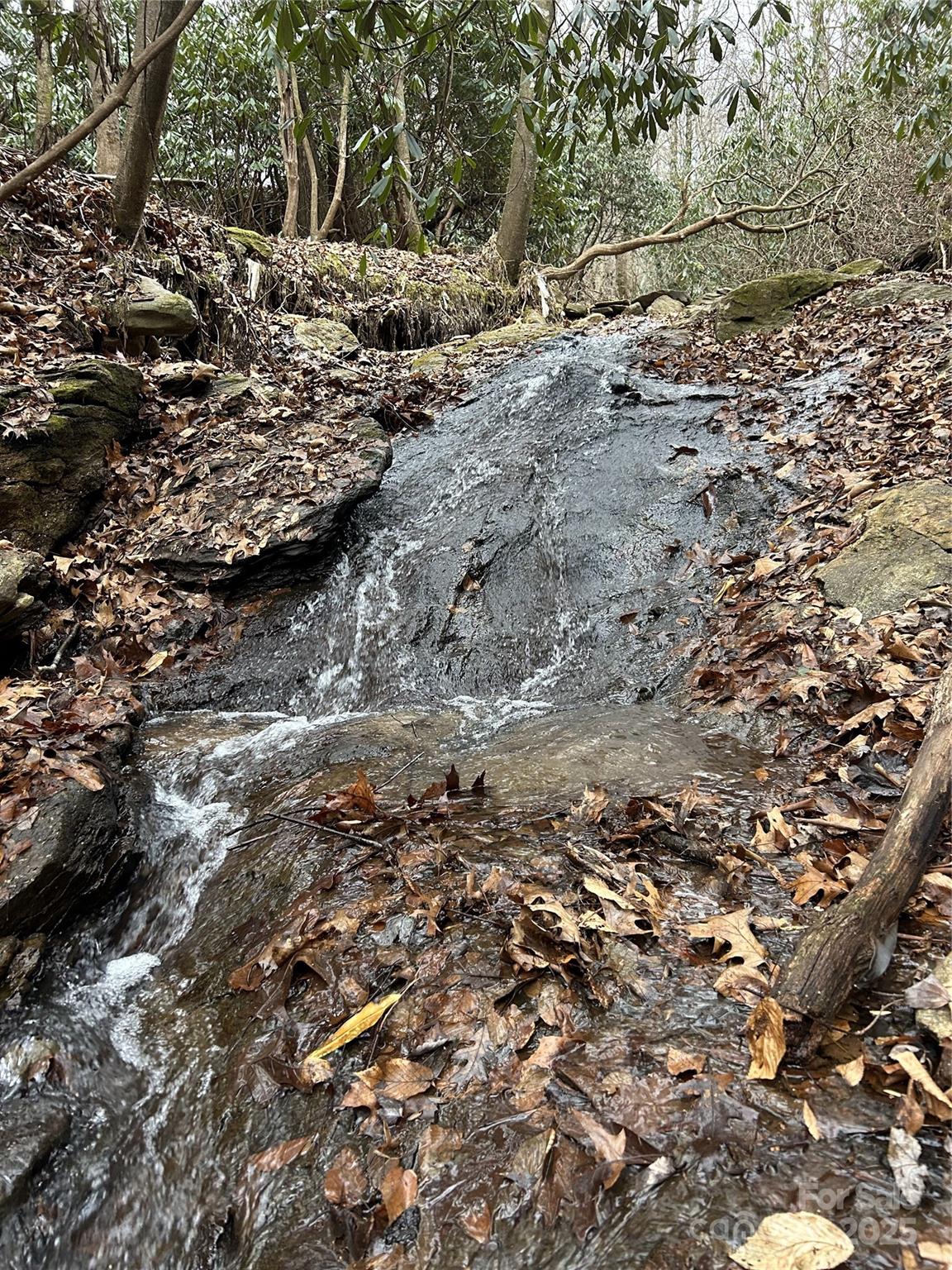 Swannanoa 11 4329977k