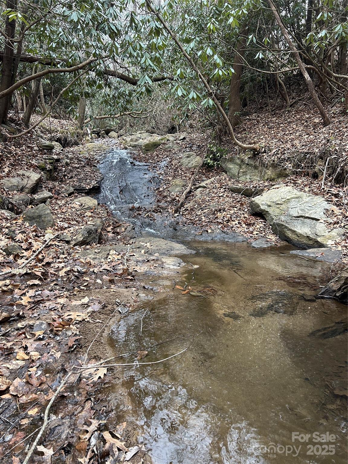 Swannanoa 12 4329977l