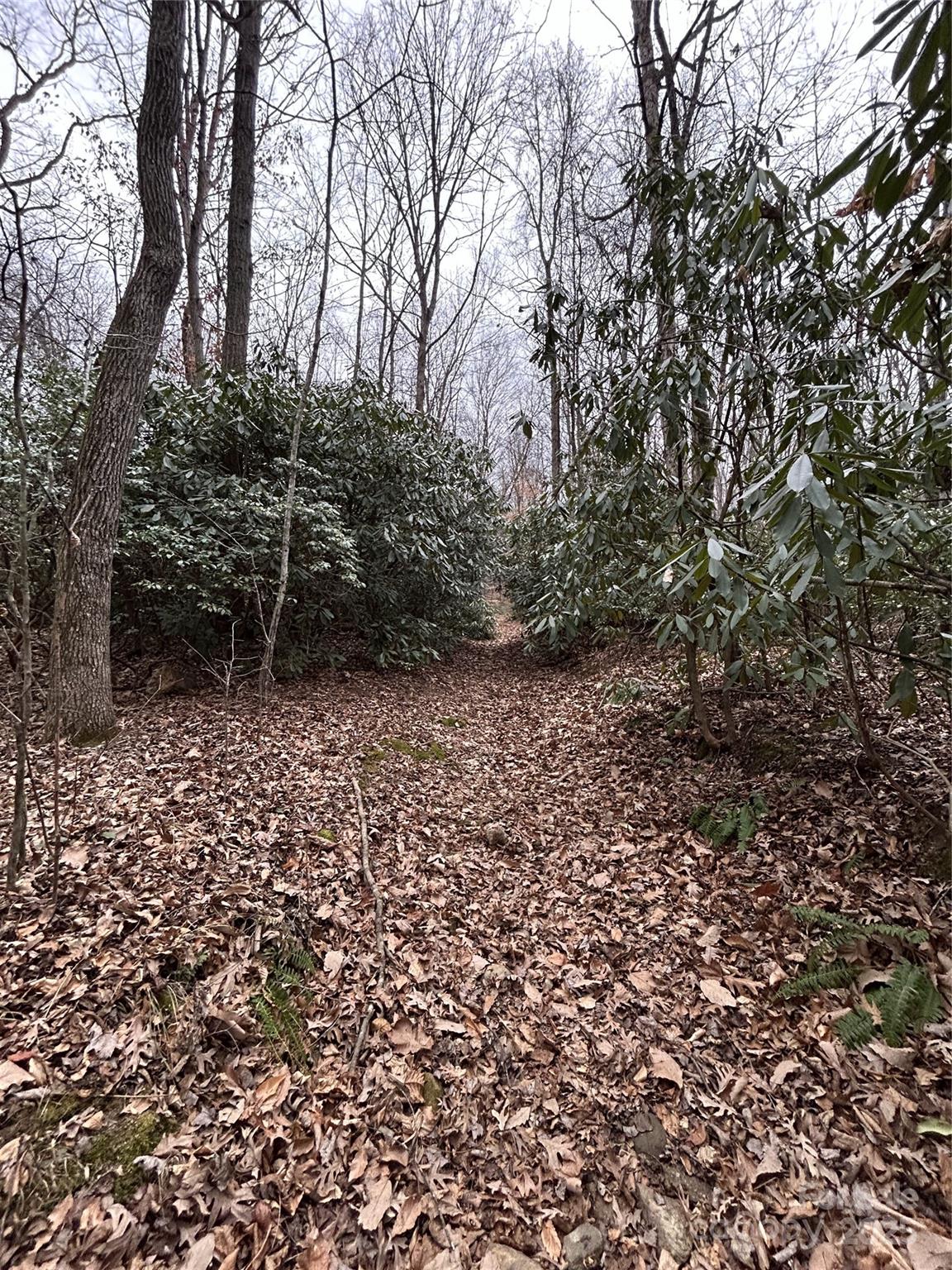 Swannanoa 13 4329977m