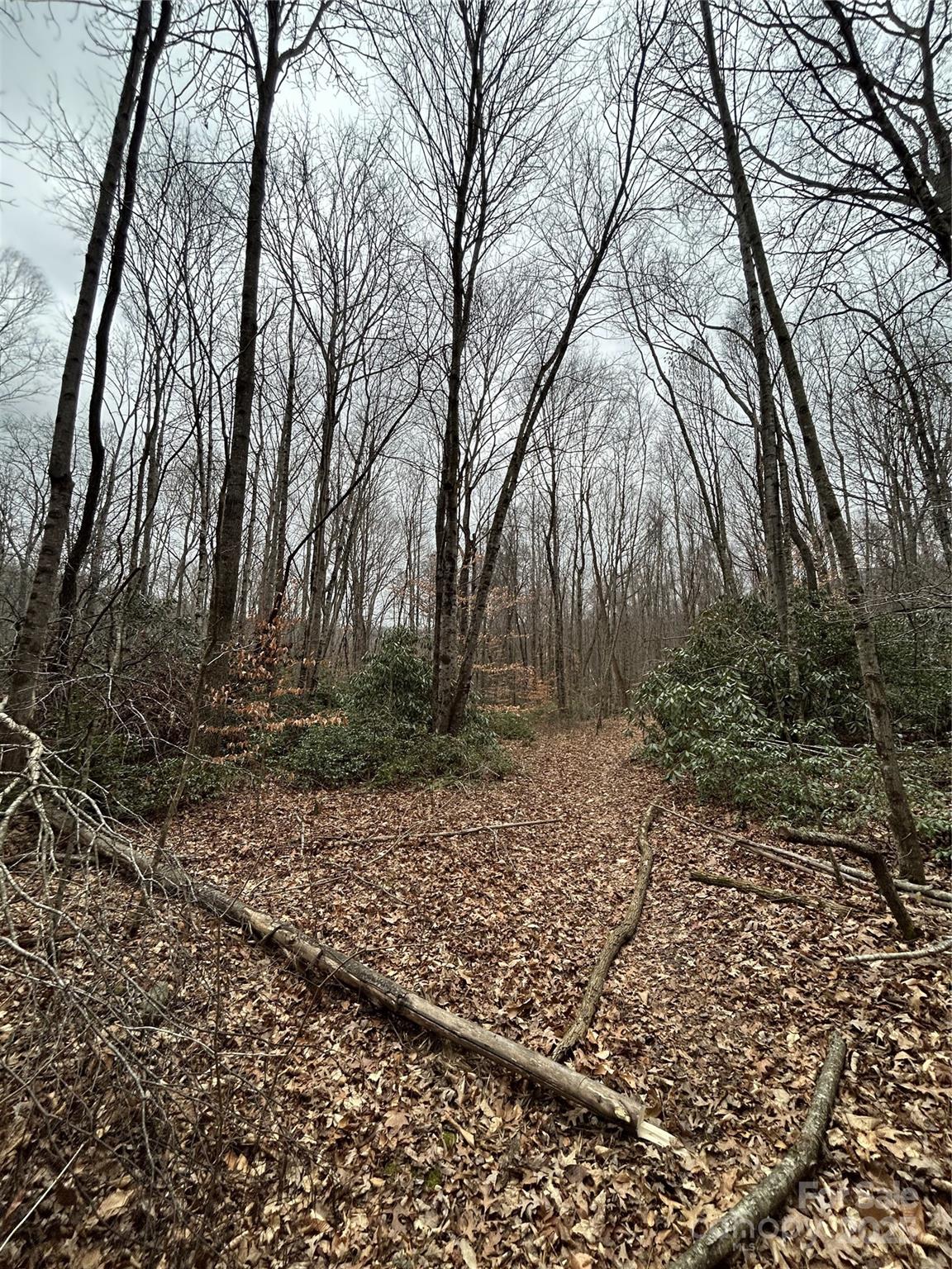 Swannanoa 14 4329977n