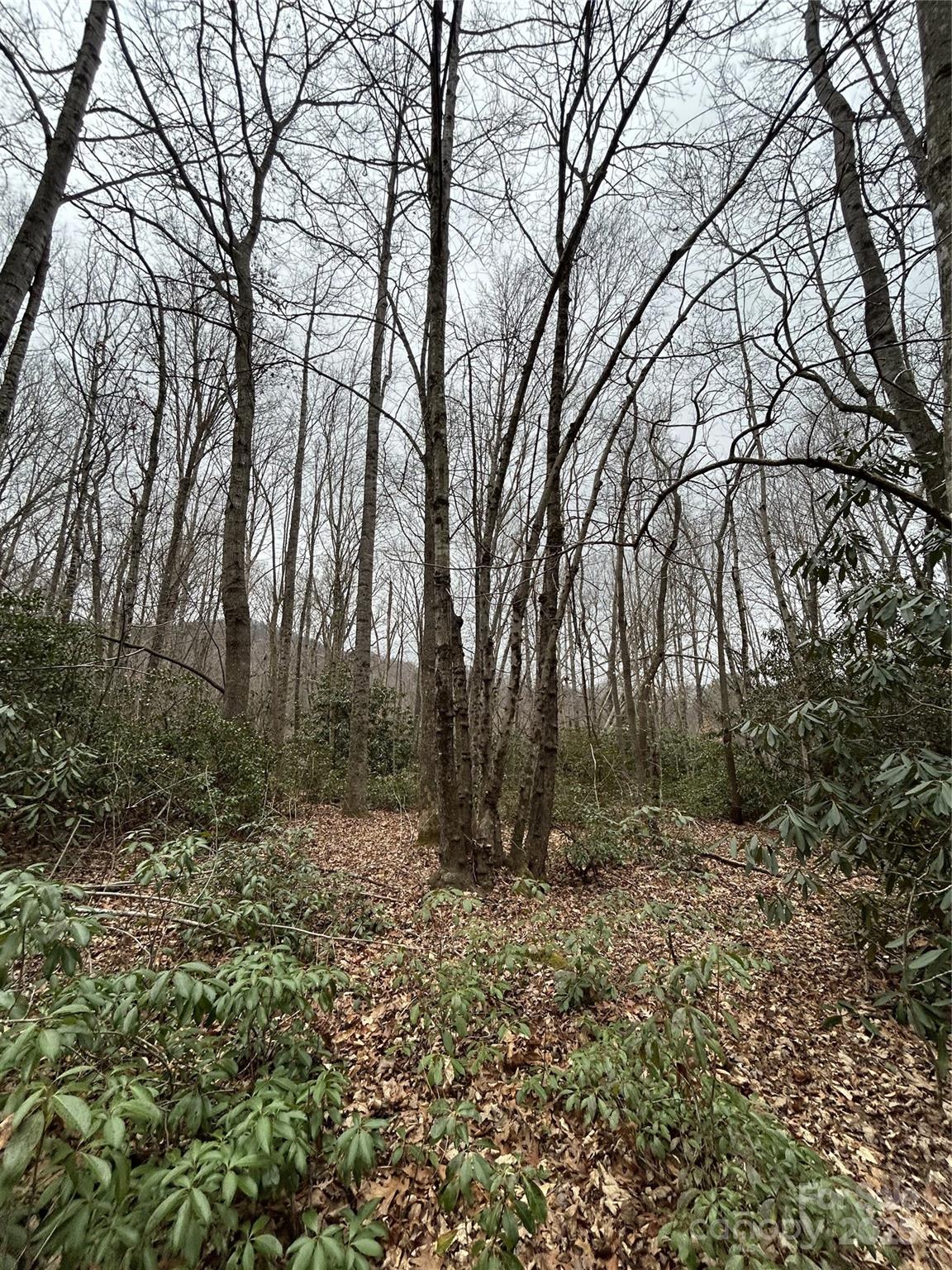 Swannanoa 15 4329977o