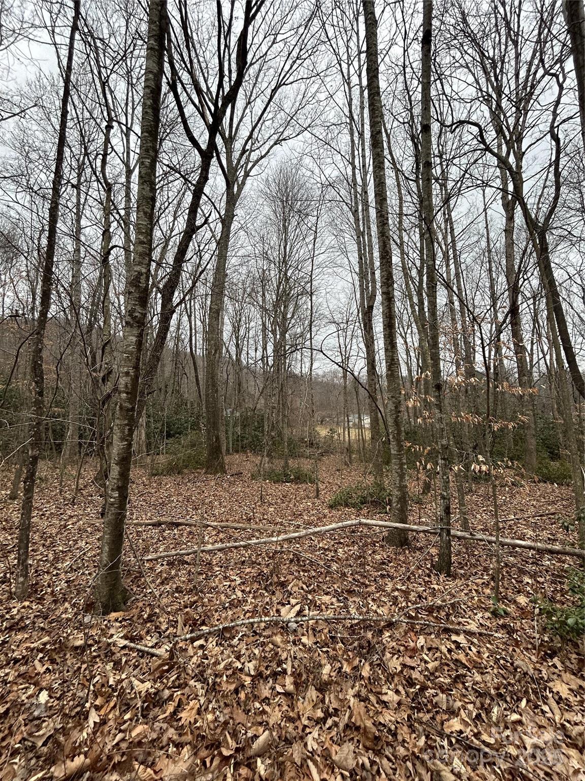 Swannanoa 16 4329977p