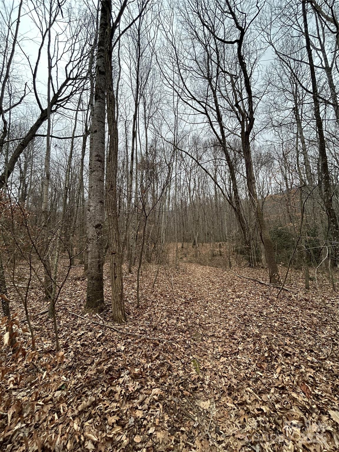 Swannanoa 17 4329977q