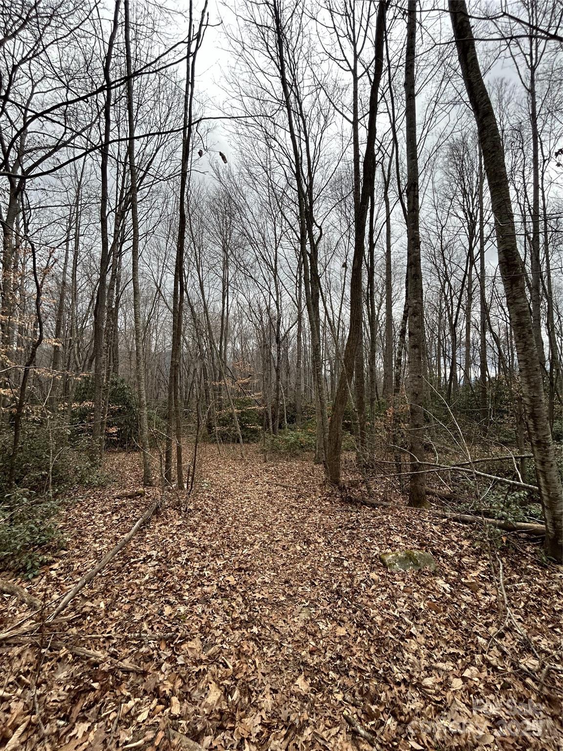 Swannanoa 18 4329977r