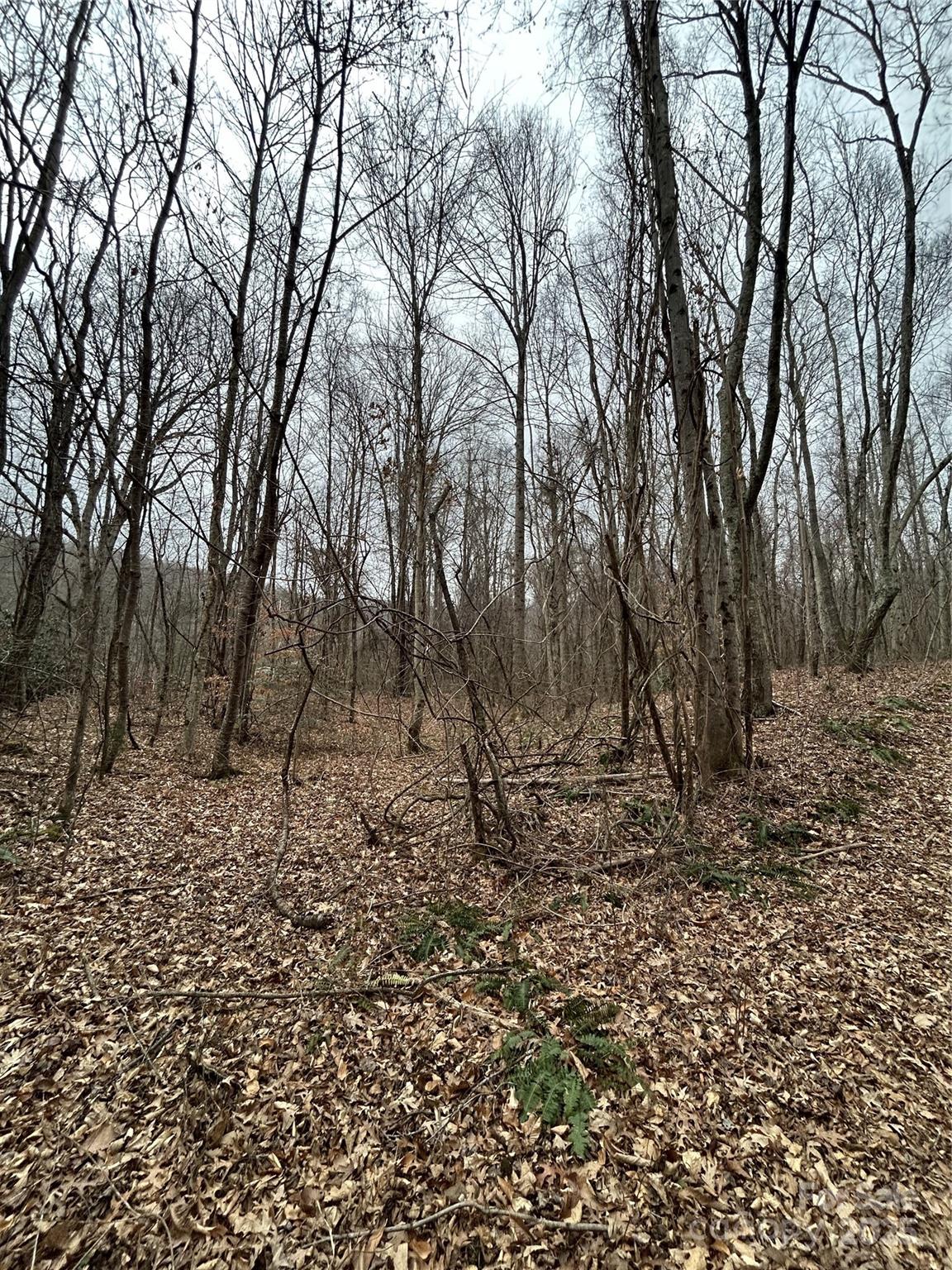 Swannanoa 19 4329977s