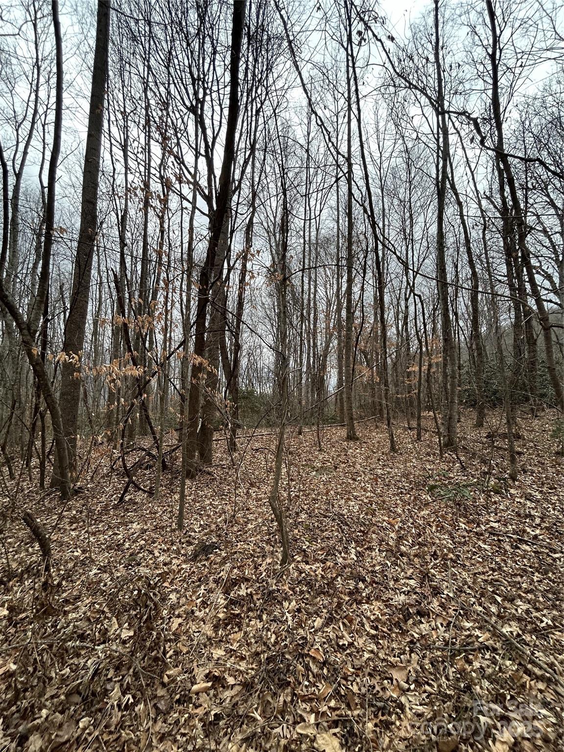 Swannanoa 20 4329977t