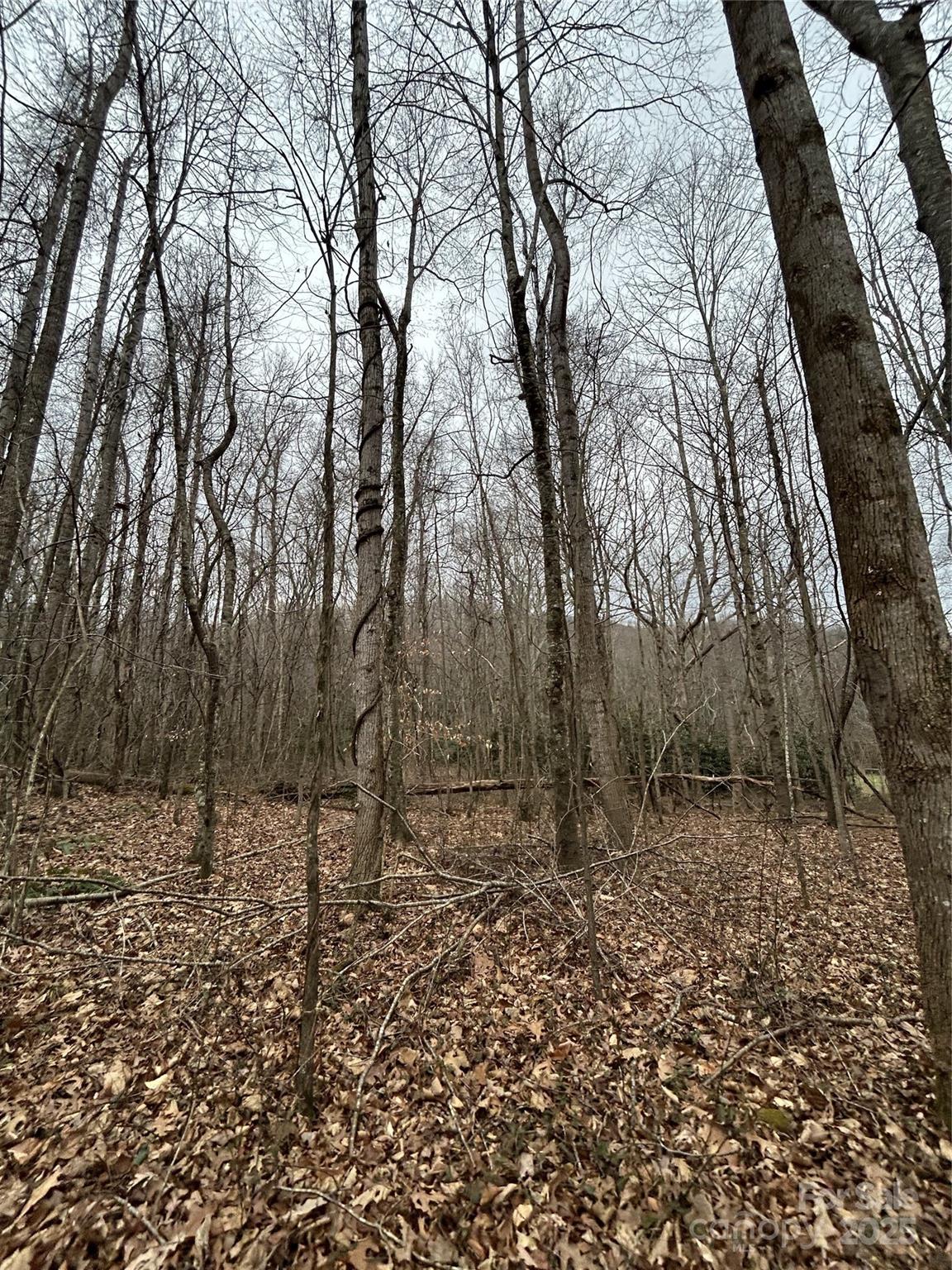 Swannanoa 21 4329977u