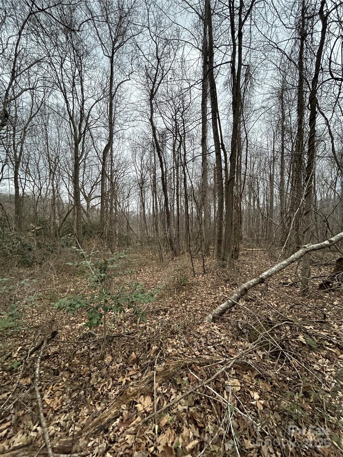 Swannanoa 22 4329977v