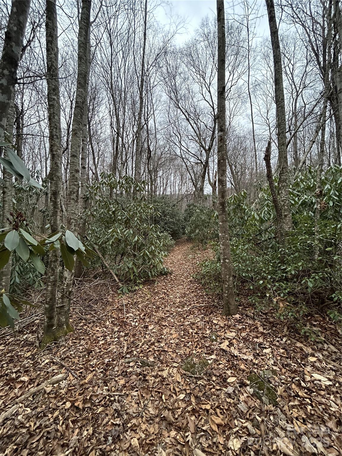 Swannanoa 23 4329977w