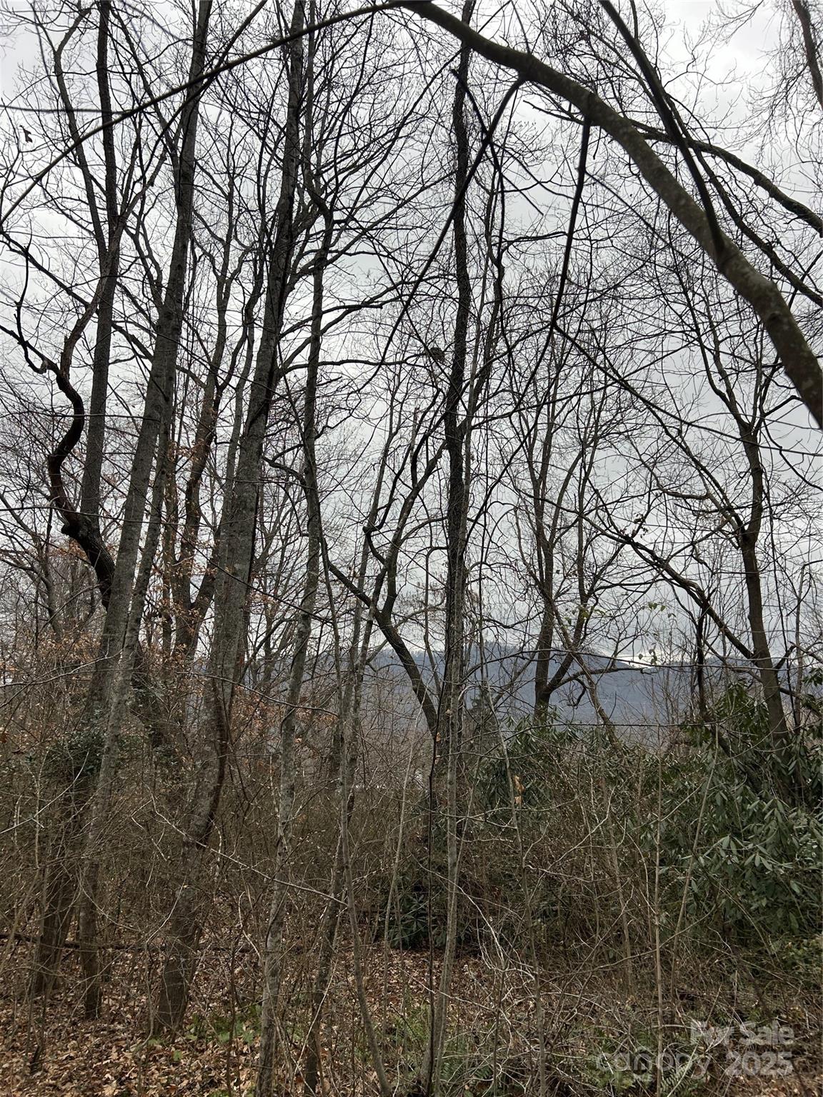 Swannanoa 26 4329977z