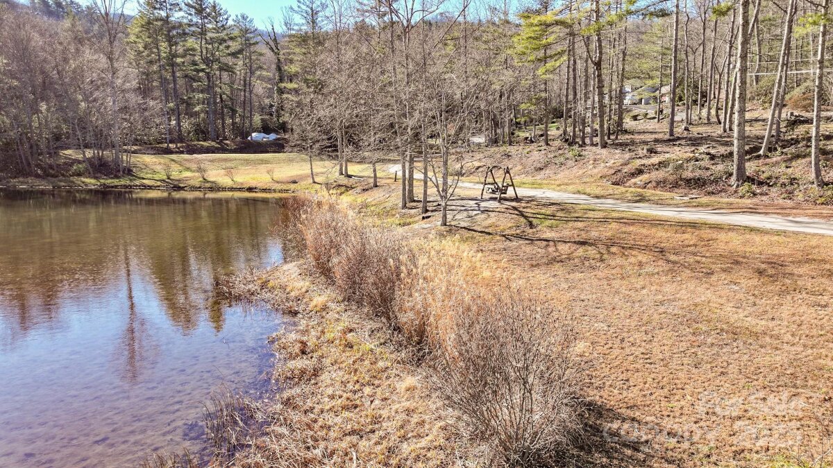 Spruce Pine 9 4332403i