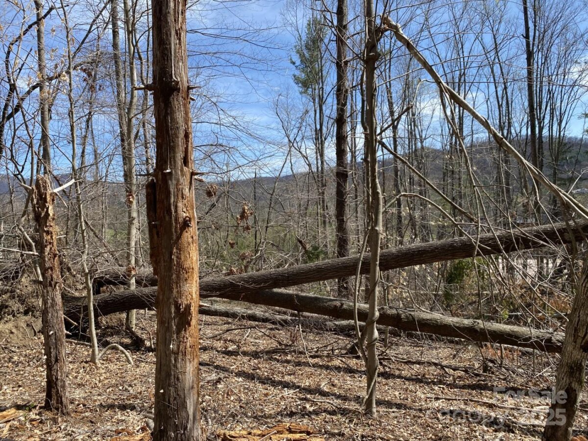 Weaverville 7 4333736g