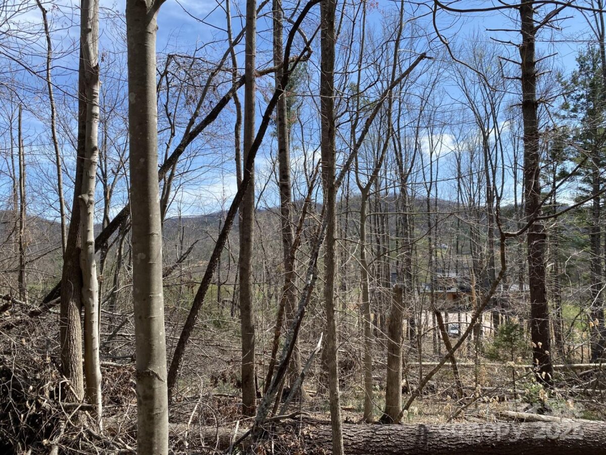 Weaverville 8 4333736h