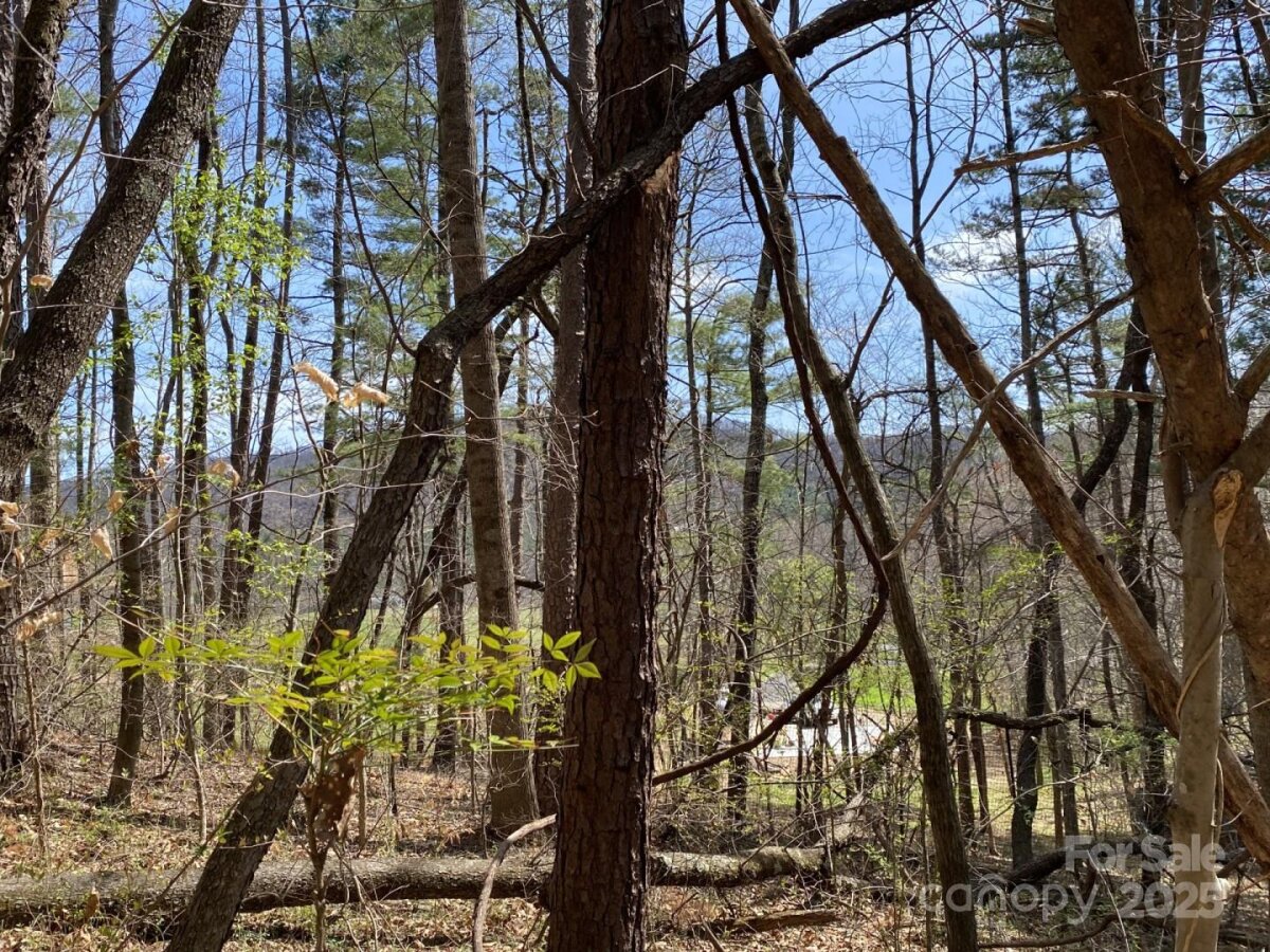 Weaverville 9 4333736i