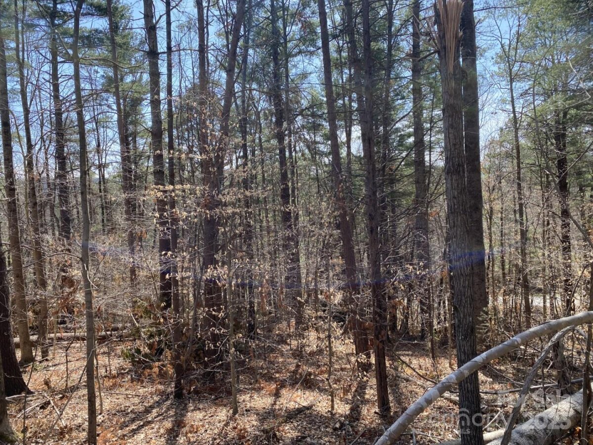 Weaverville 11 4333736k