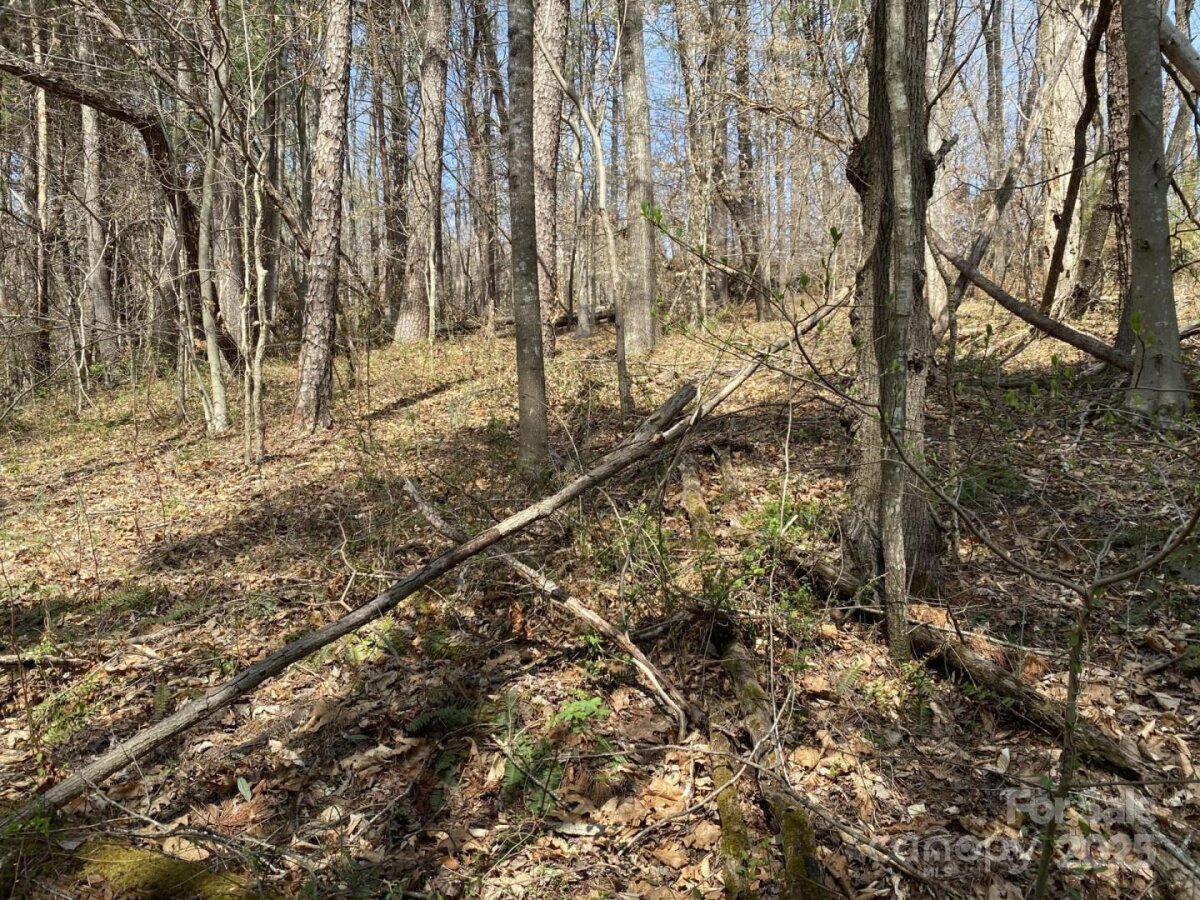 Weaverville 12 4333736l