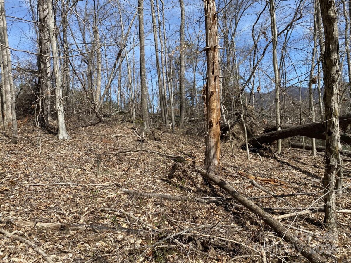 Weaverville 13 4333736m