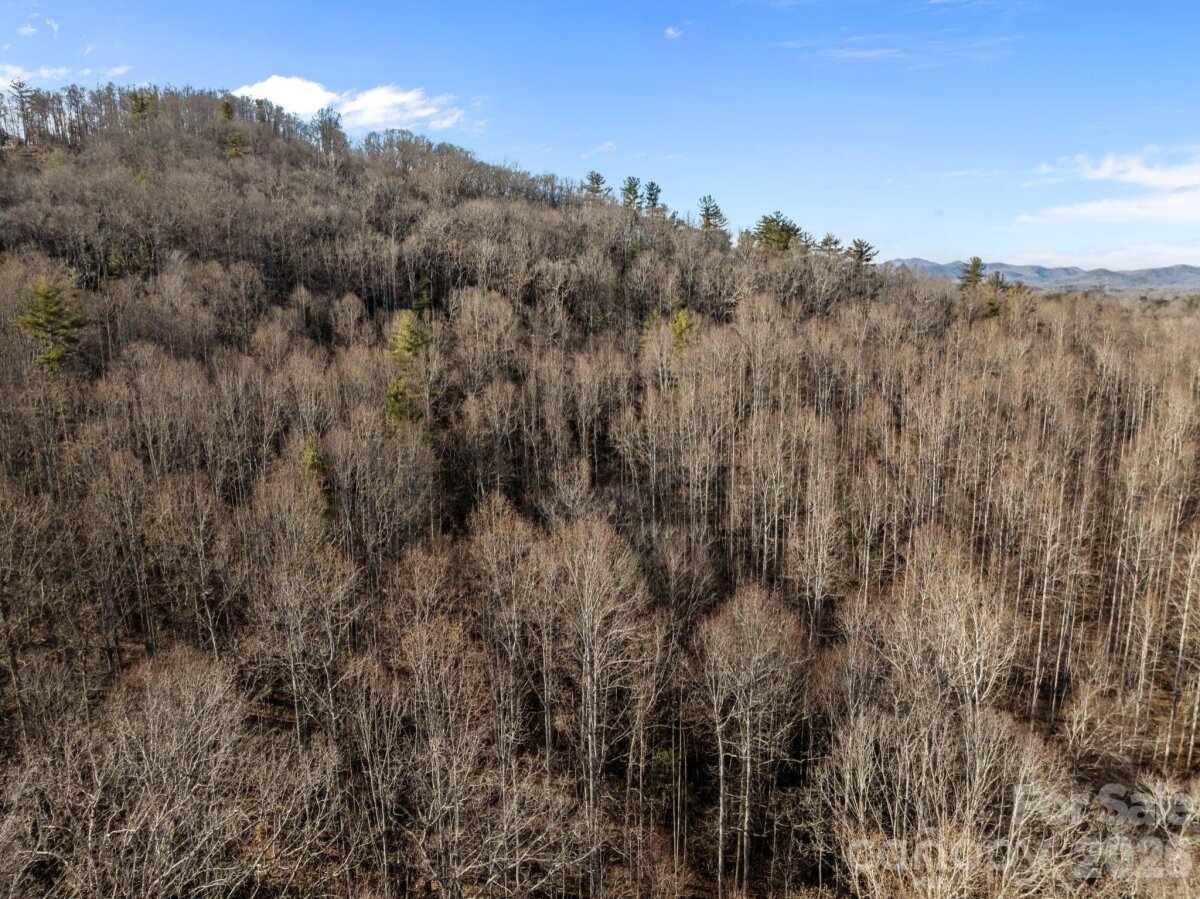 Hendersonville 13 4335207m