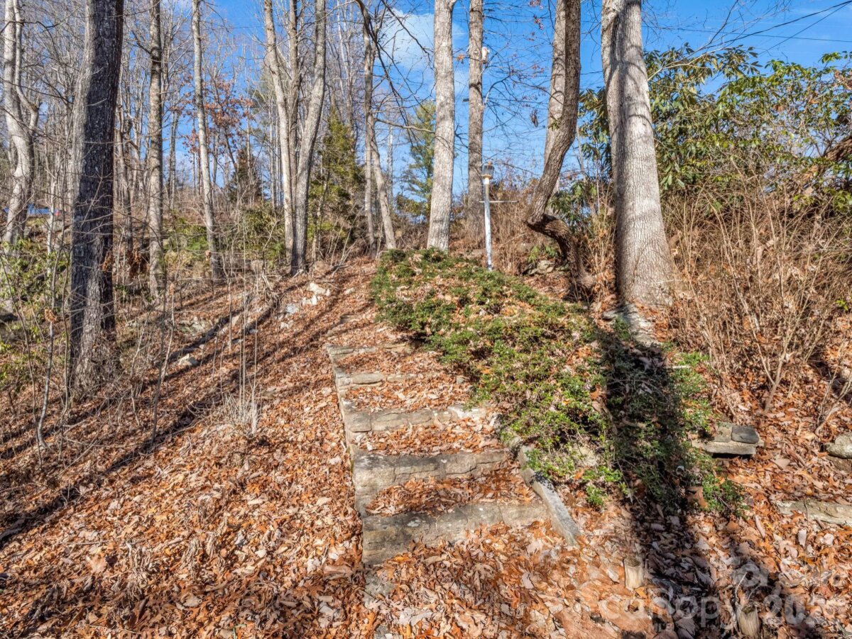 Zirconia 26 4336609y