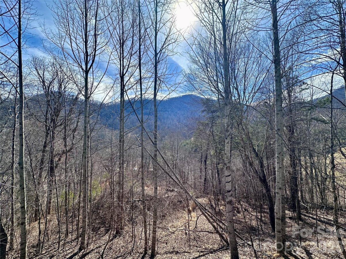 Leicester 2 4339815b