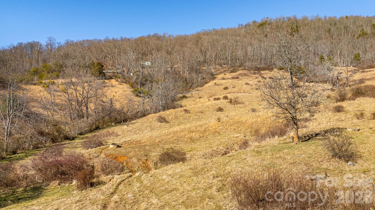 Sandy Mush 11 4346652k