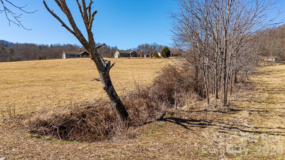 Sandy Mush 12 4346652l