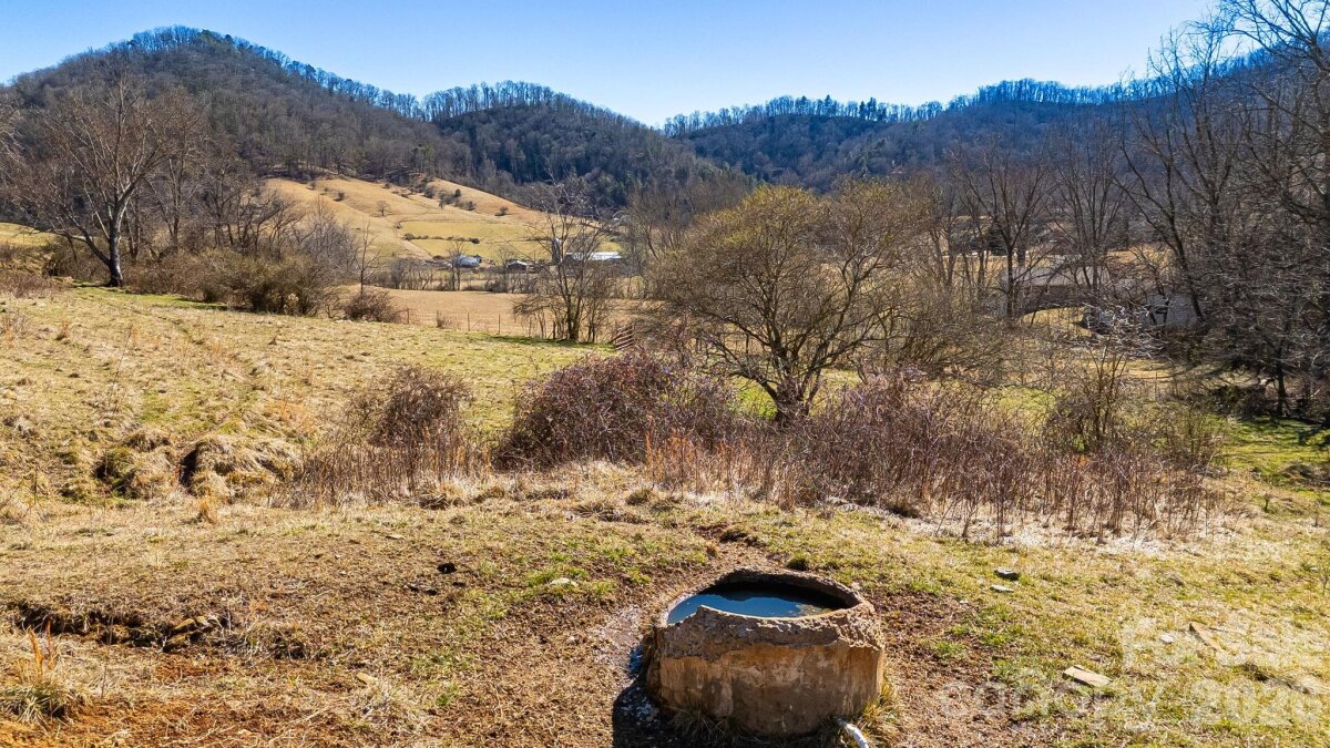 Sandy Mush 14 4346652n